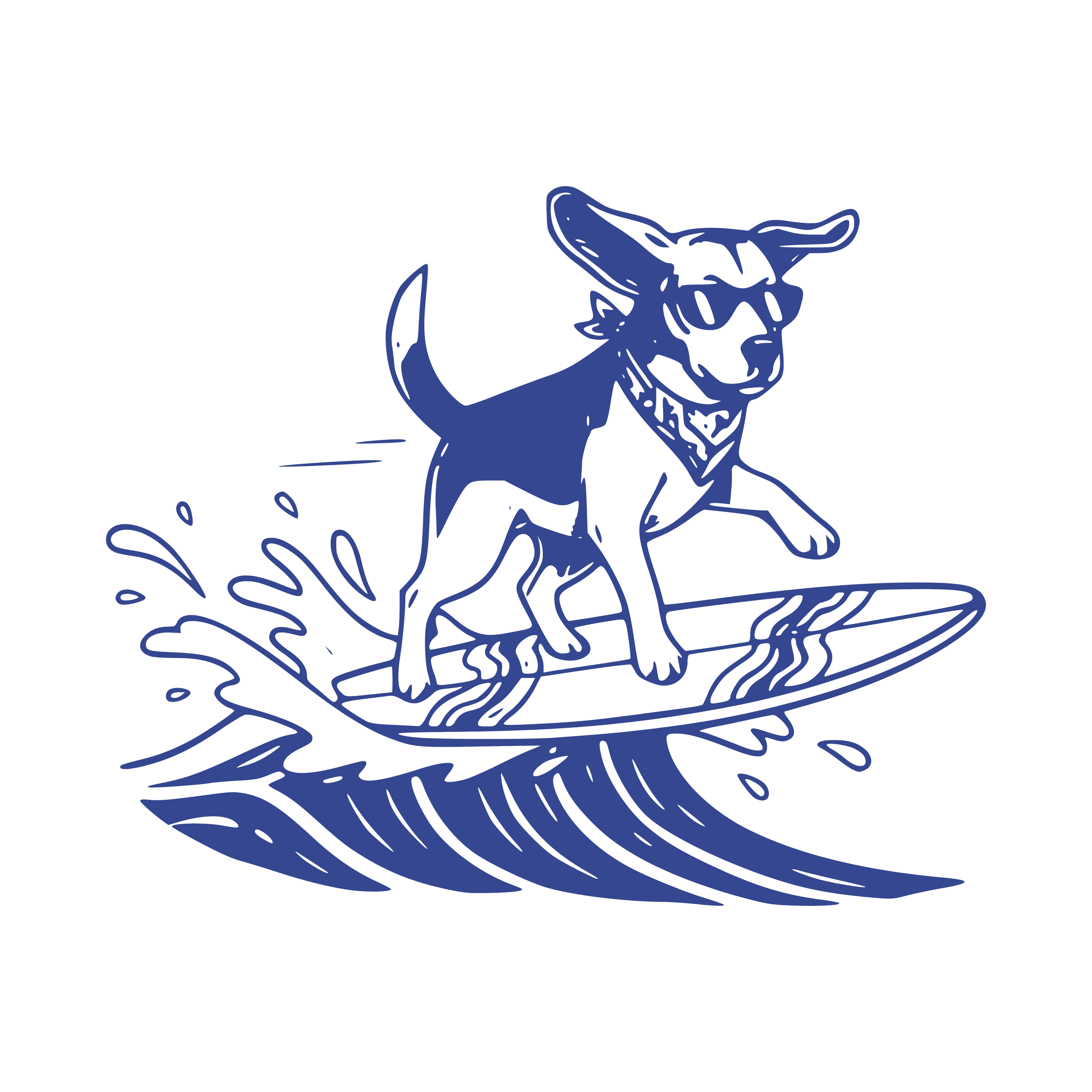 Endless Summer Collection