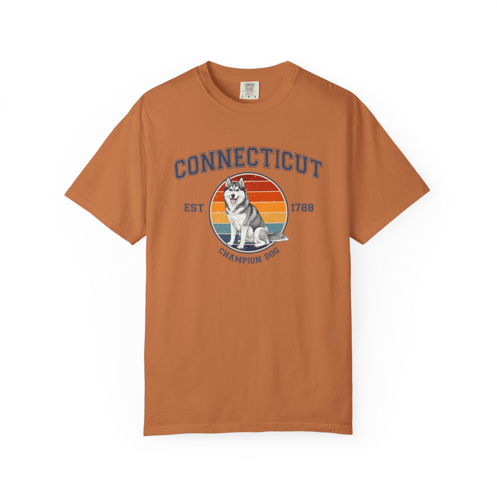 Connecticut Vintage State T-Shirt – Sunset Husky