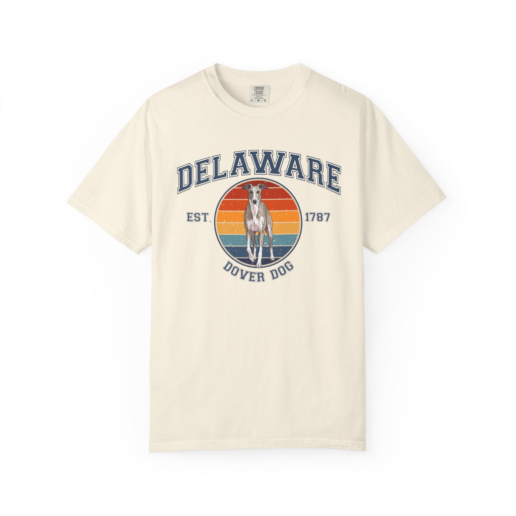 Delaware Vintage State T-Shirt – Sunset Greyhound